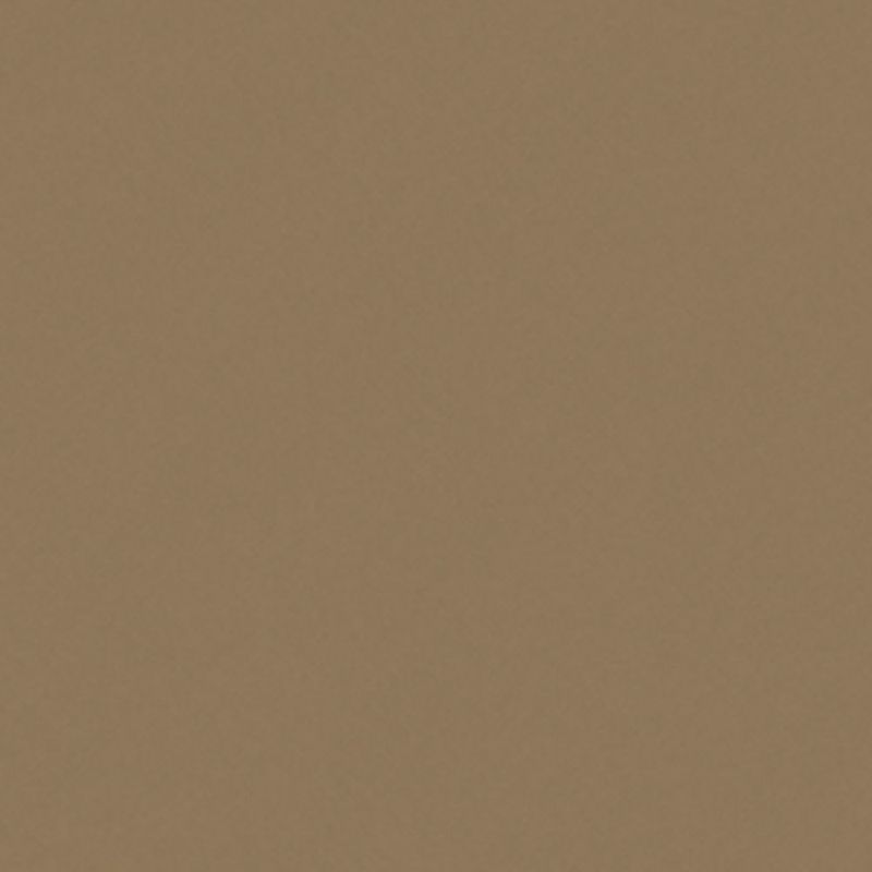 55519_0